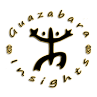 Guazabara Insights, LLC